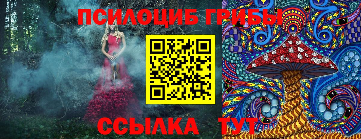Борисоглебск  Псилоцибиновые грибы мицелий  Вход с VPN 